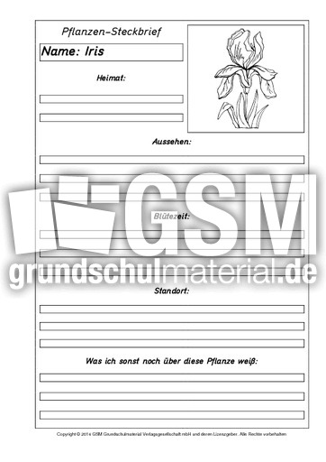 Pflanzensteckbriefvorlage-Iris-SW.pdf